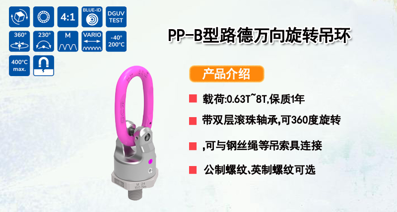 PP-B型路德万向旋转吊环