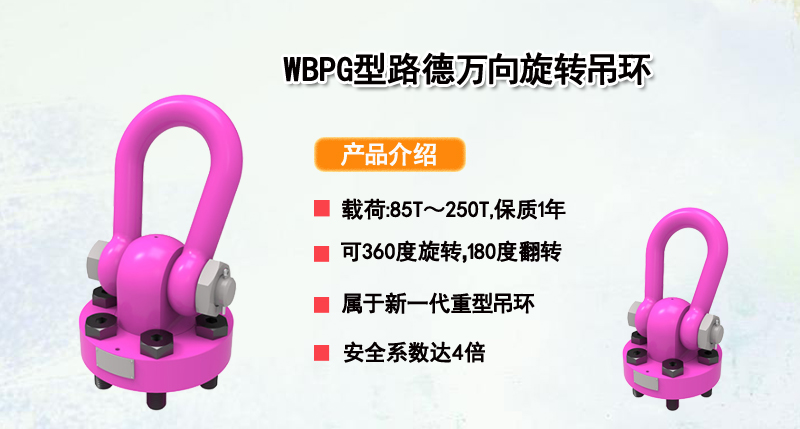 WBPG型路德万向旋转吊环