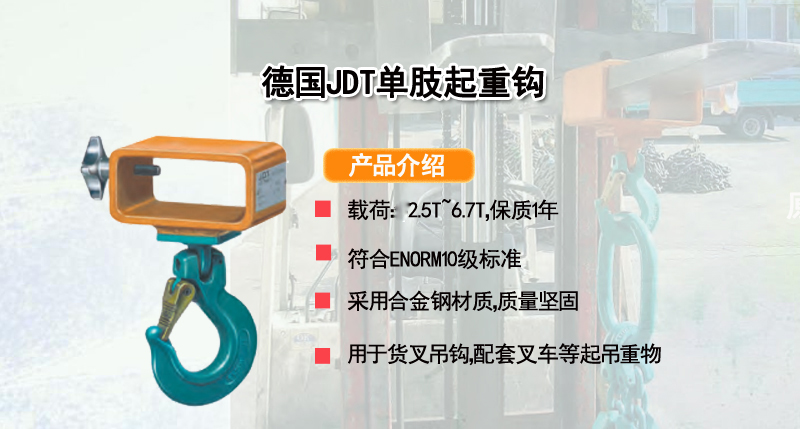 德国JDT单肢起重钩