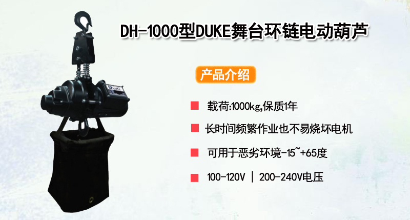 DH-1000型DUKE舞台环链电动葫芦