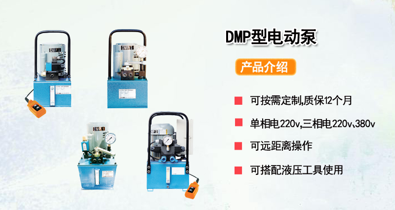 DMP型电动泵