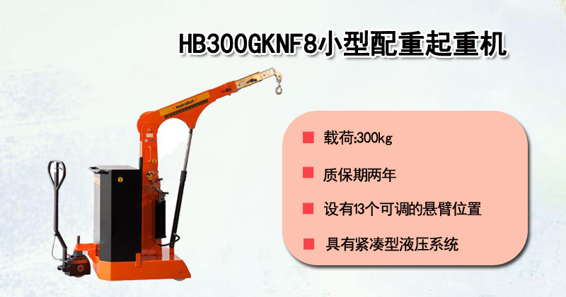 HB300GKNF8小型配重起重机