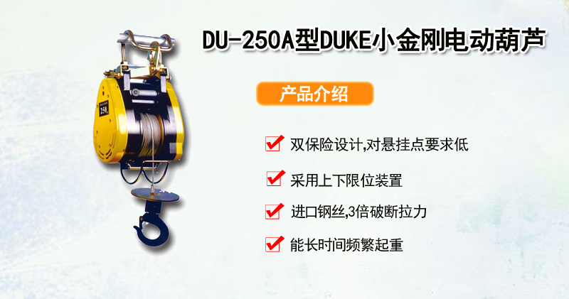 DU-250A型DUKE小金刚电动葫芦